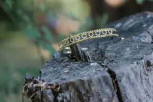 Tiara para novia